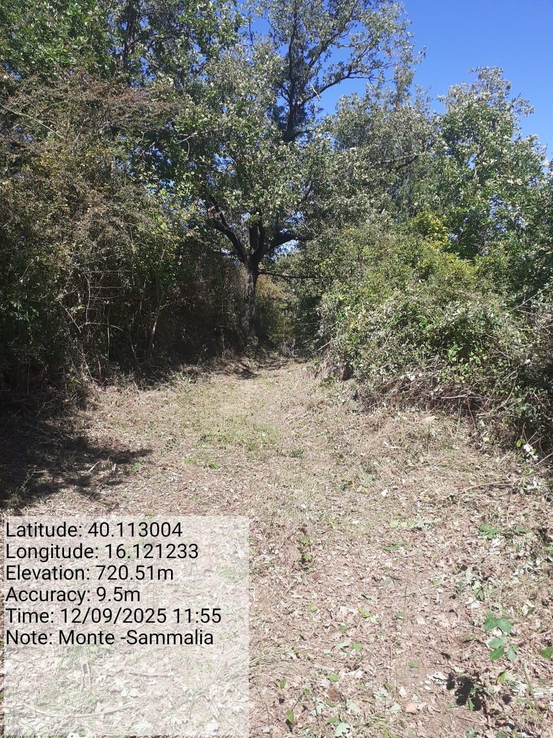 Galleria Fotografica Immagine