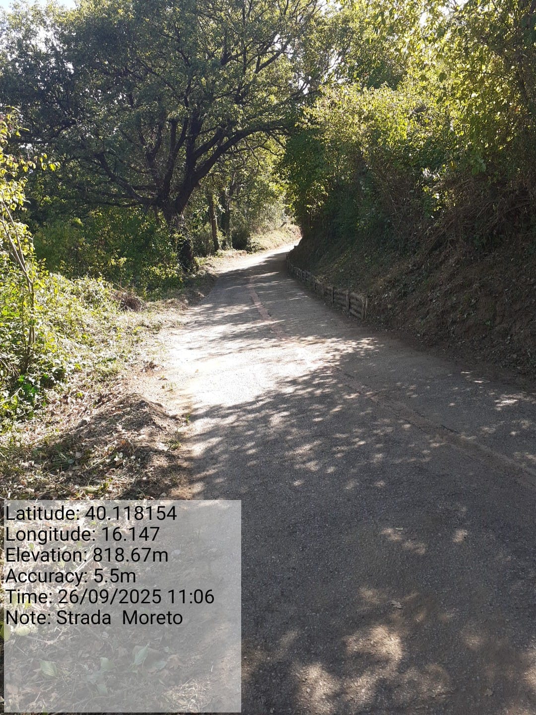 Galleria Fotografica Immagine