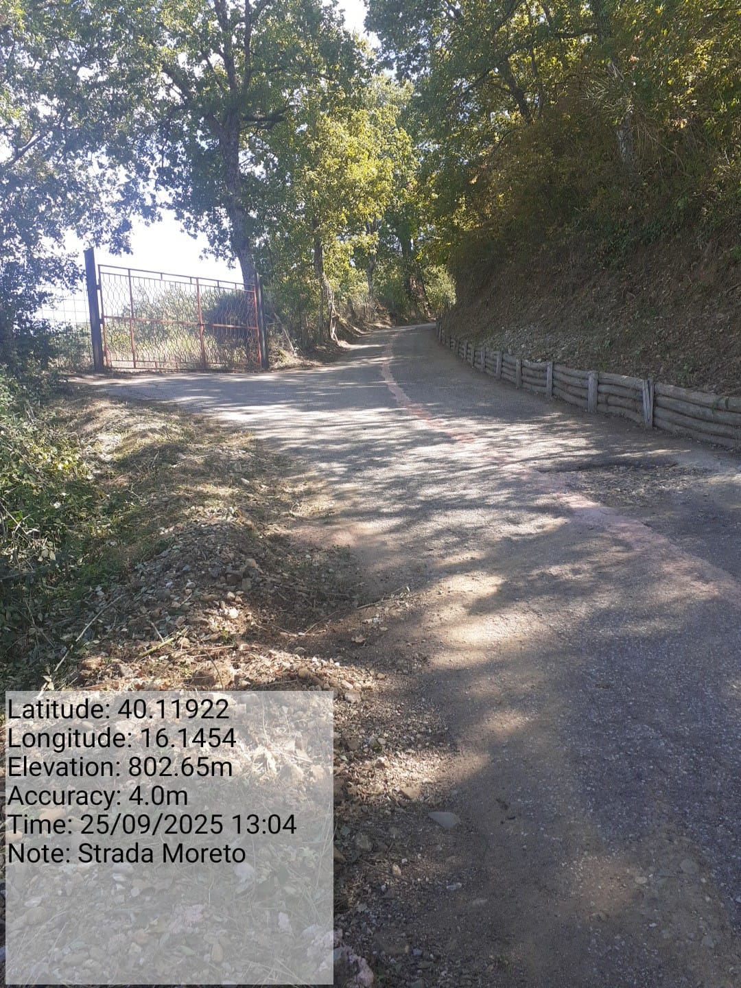 Galleria Fotografica Immagine