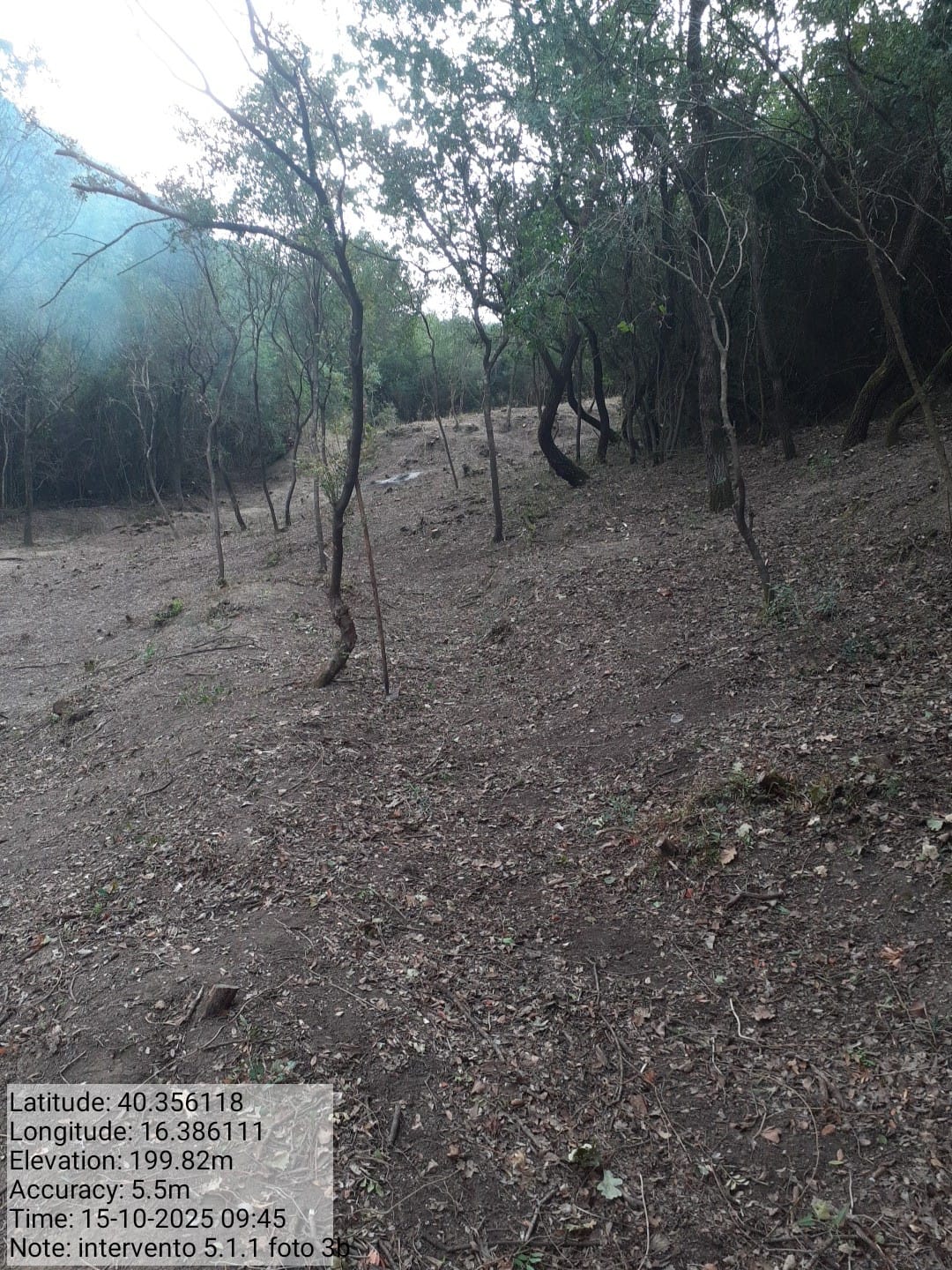 Galleria Fotografica Immagine