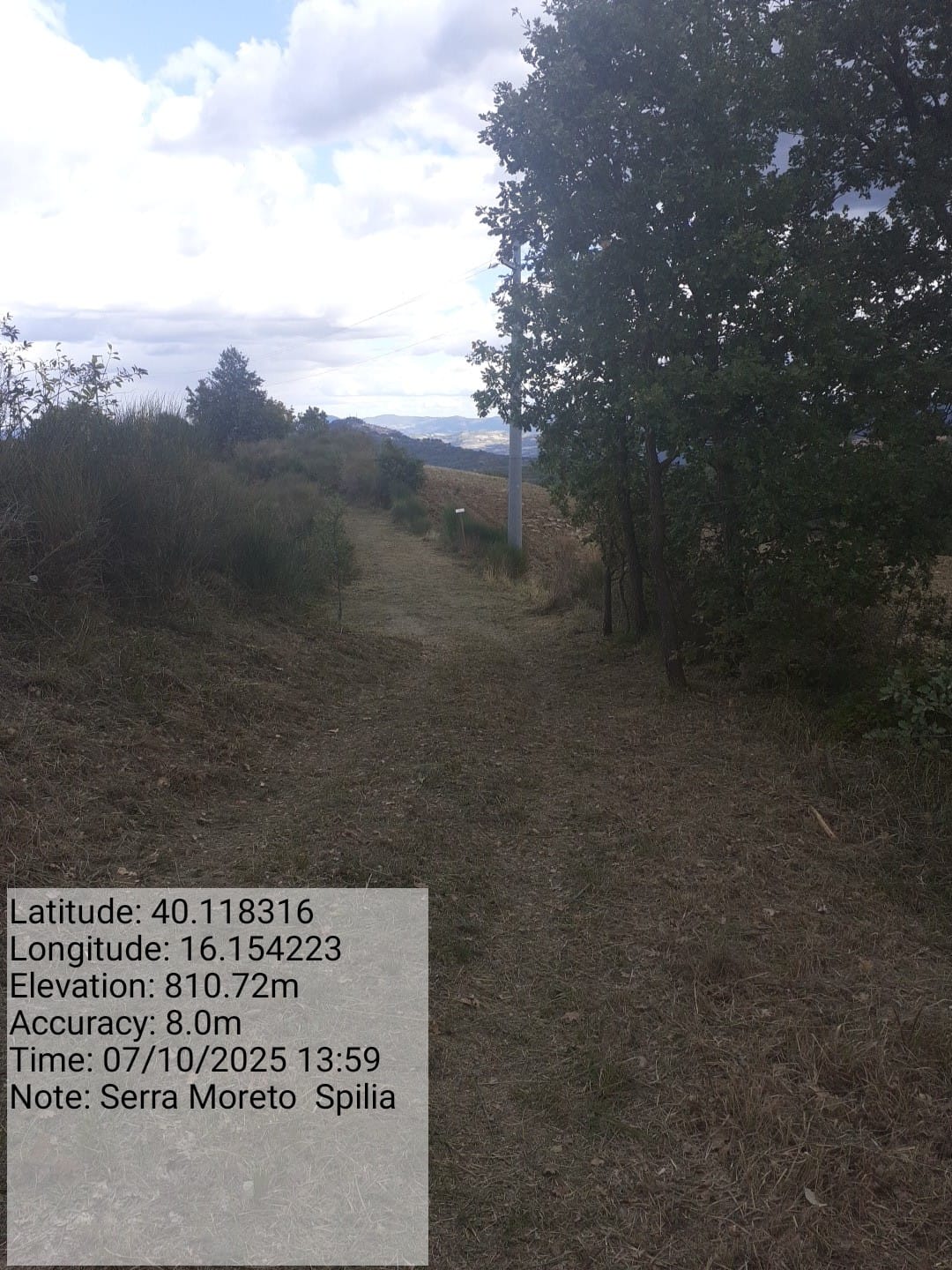 Galleria Fotografica Immagine