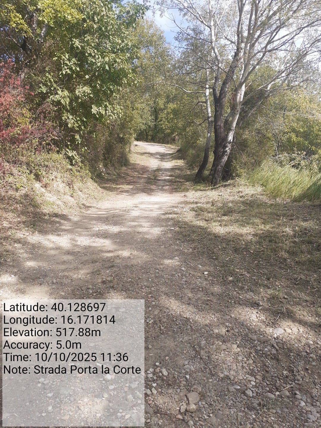 Galleria Fotografica Immagine