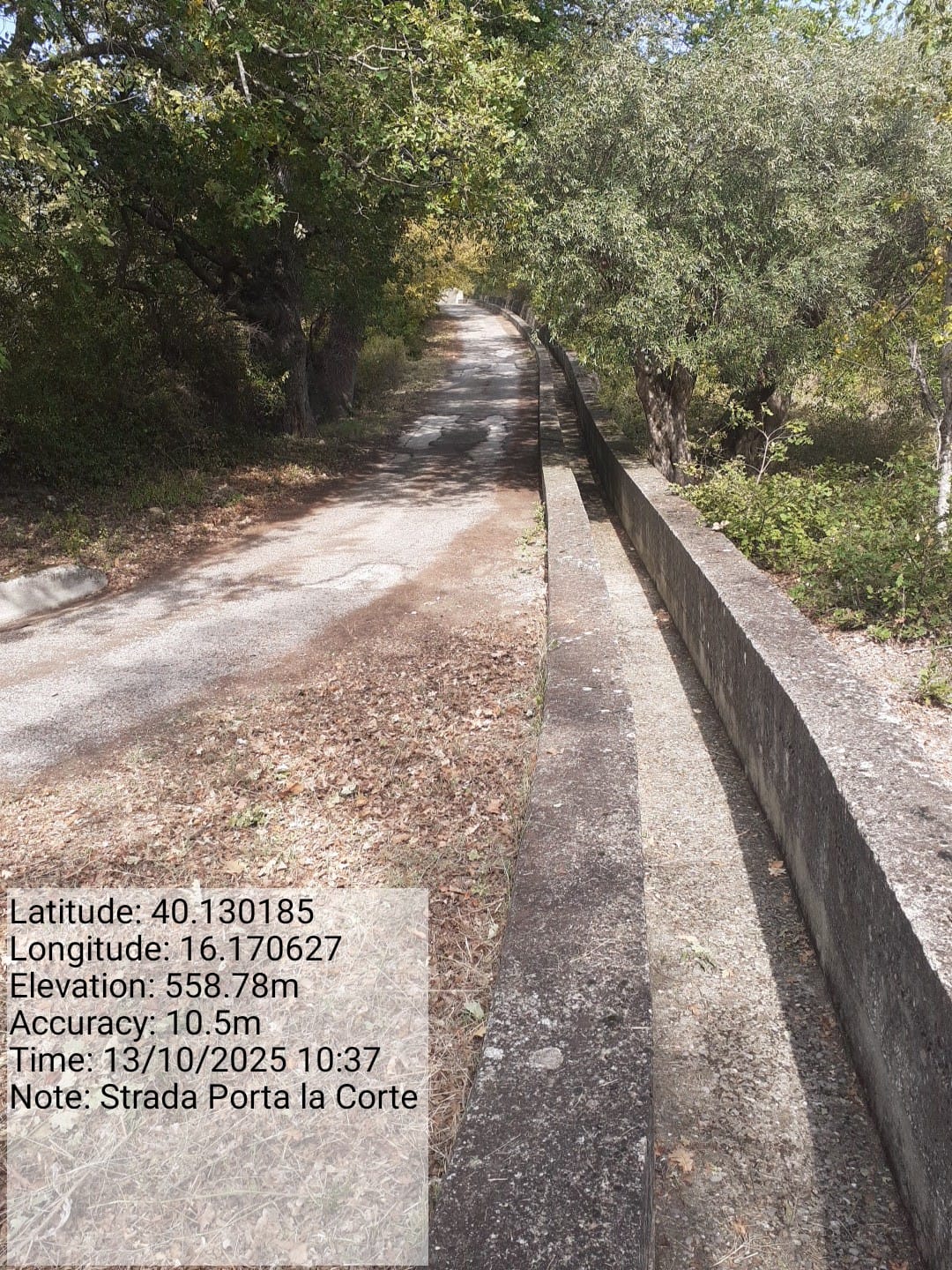 Galleria Fotografica Immagine