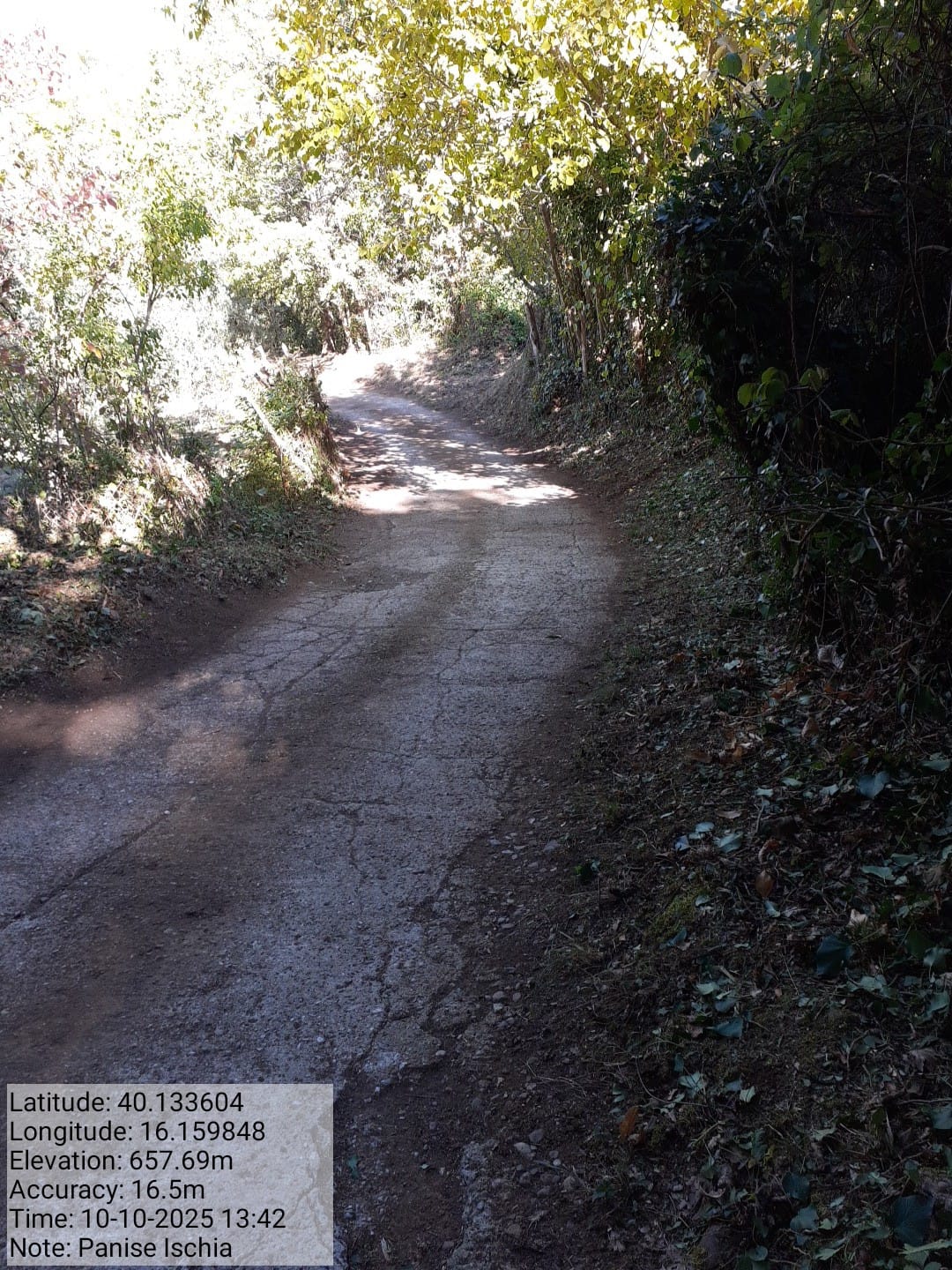 Galleria Fotografica Immagine