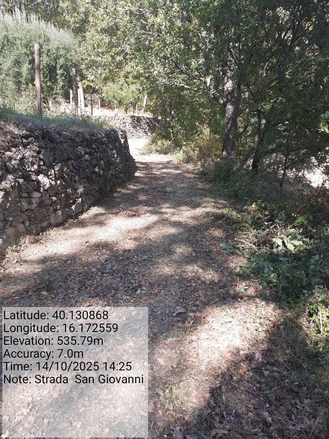 Galleria Fotografica Immagine