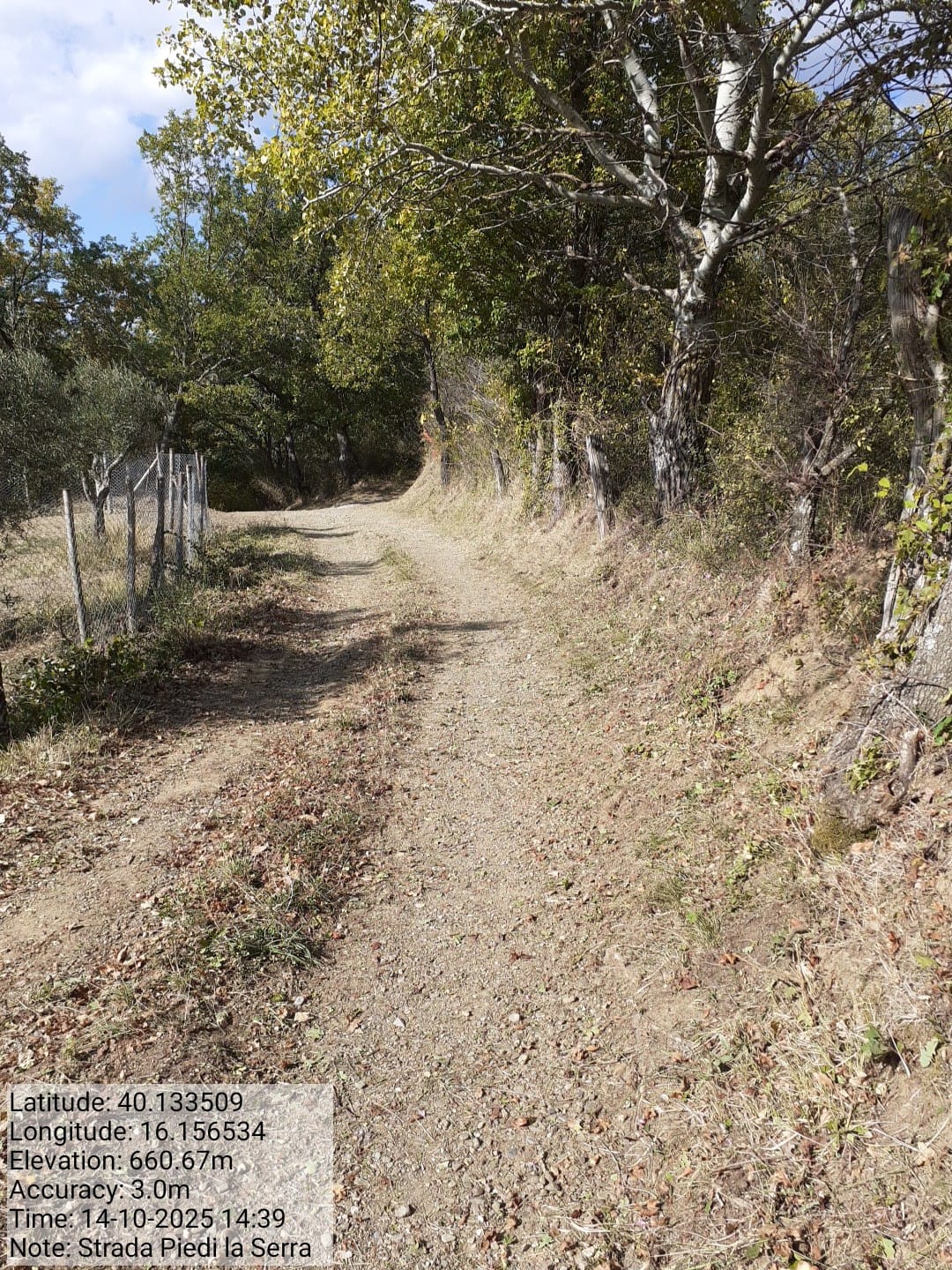 Galleria Fotografica Immagine