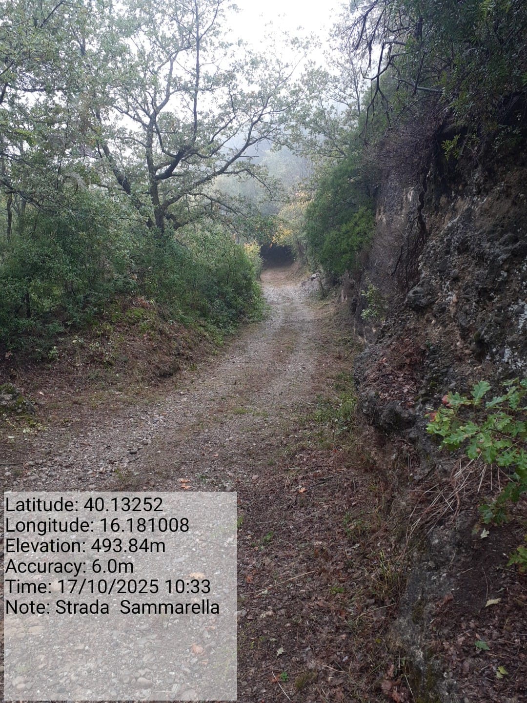 Galleria Fotografica Immagine