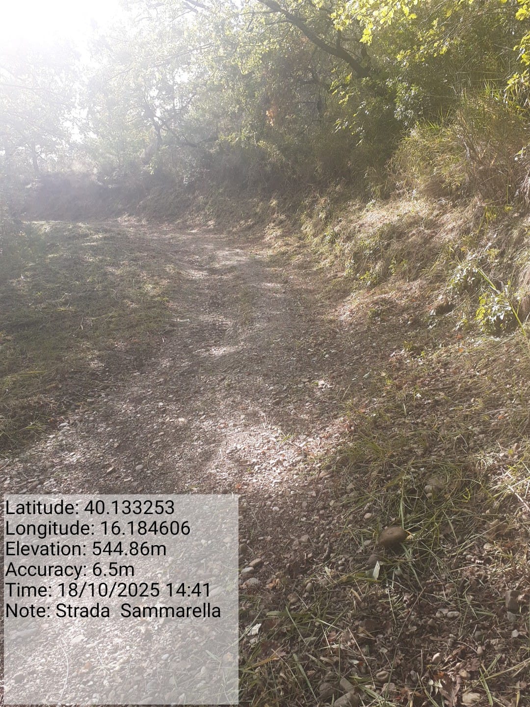 Galleria Fotografica Immagine