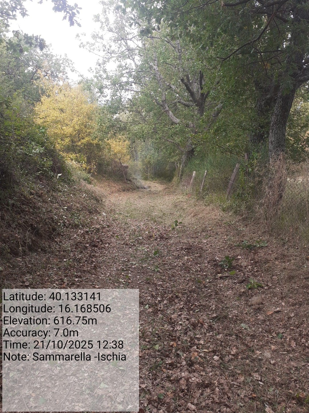 Galleria Fotografica Immagine