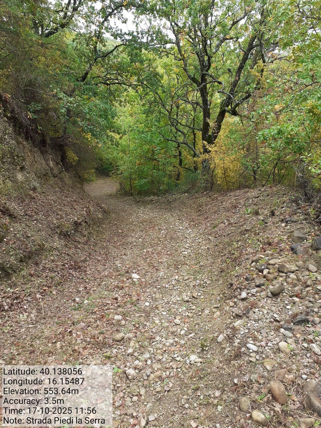 Galleria Fotografica Immagine