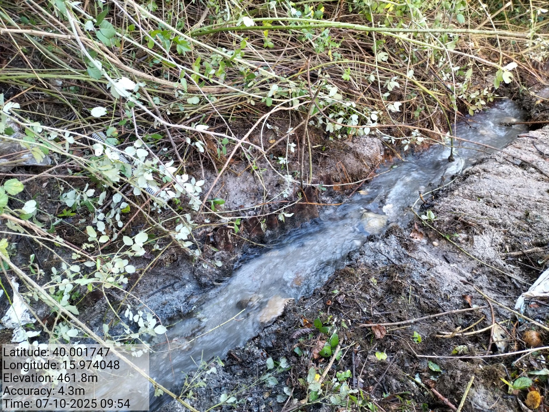 Galleria Fotografica Immagine