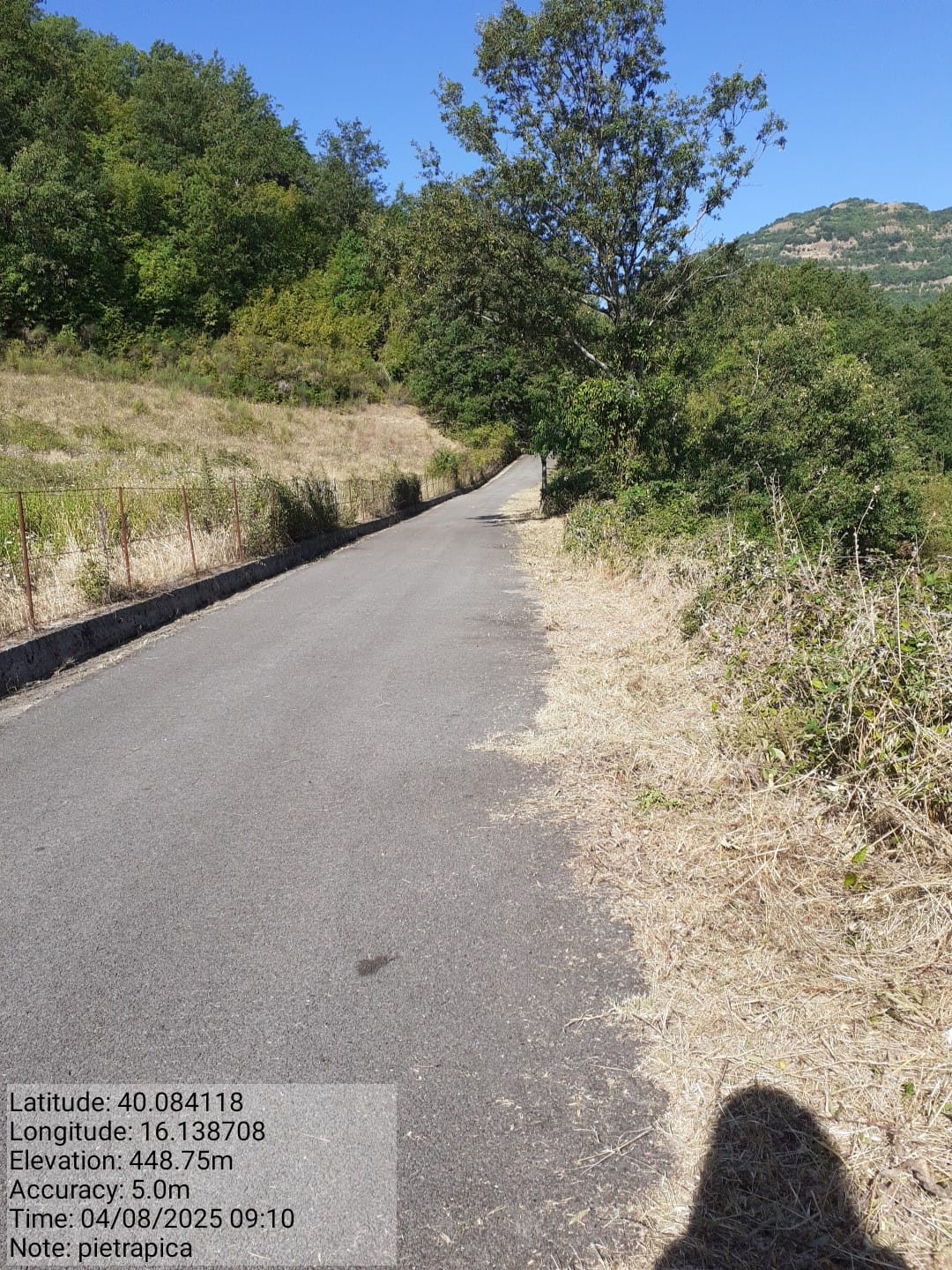 Galleria Fotografica Immagine