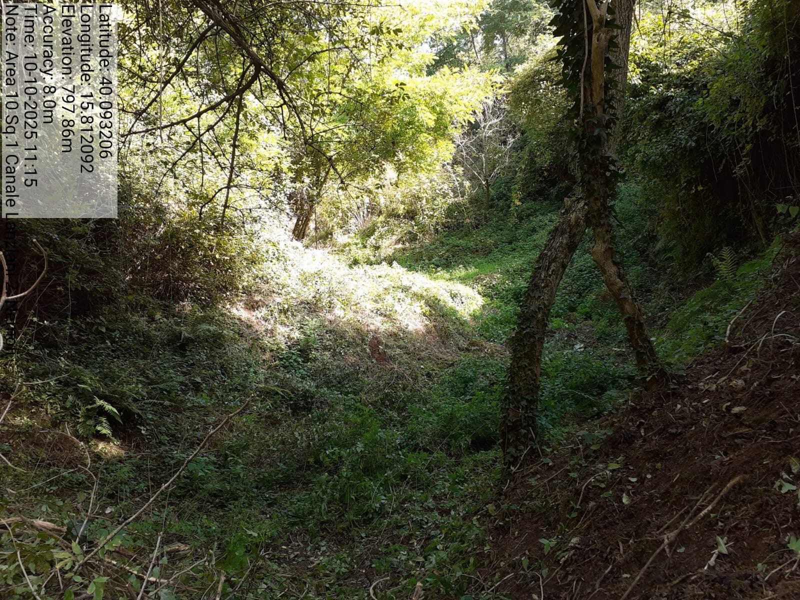 Galleria Fotografica Immagine