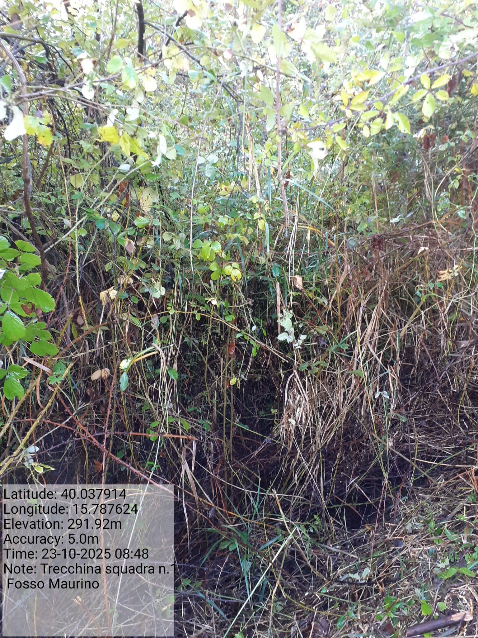 Galleria Fotografica Immagine