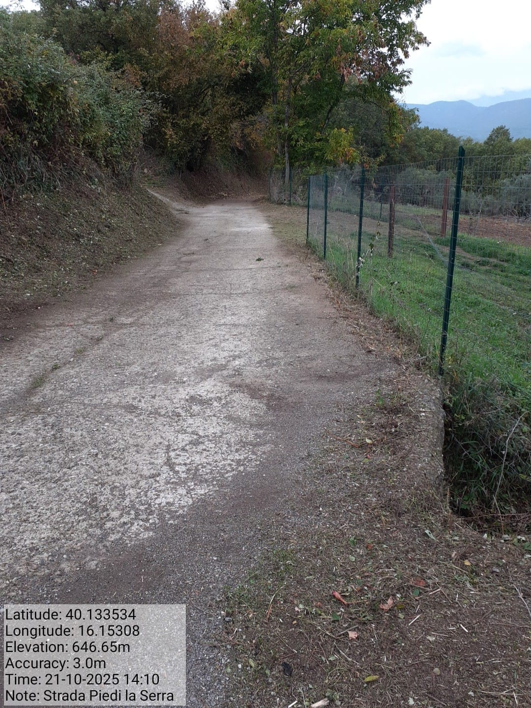 Galleria Fotografica Immagine