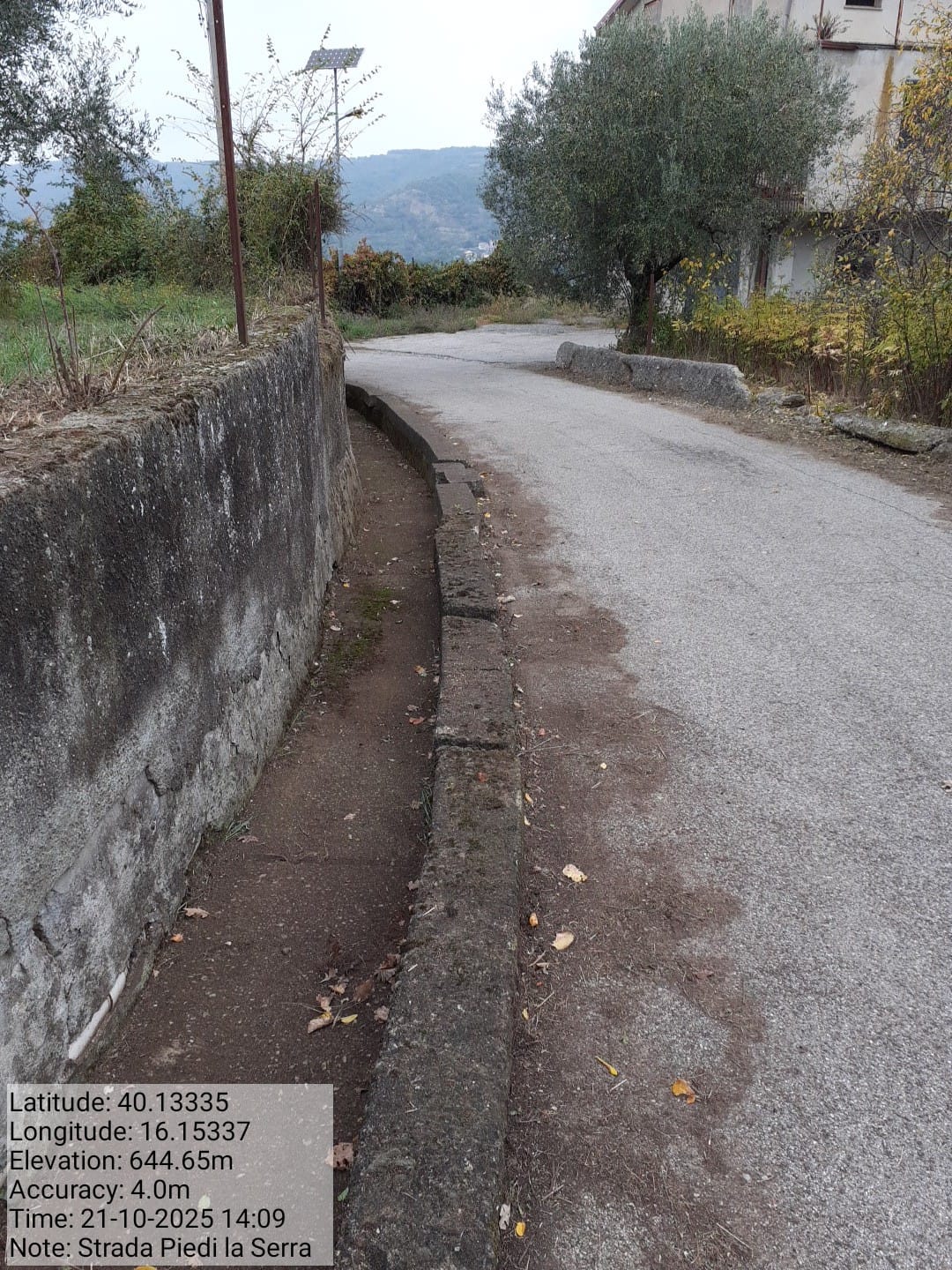 Galleria Fotografica Immagine