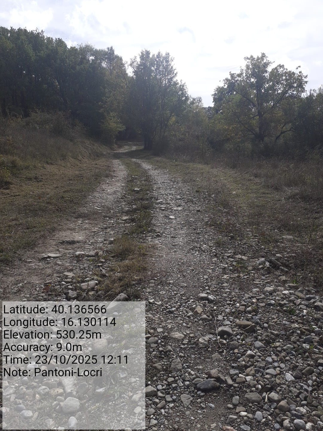 Galleria Fotografica Immagine