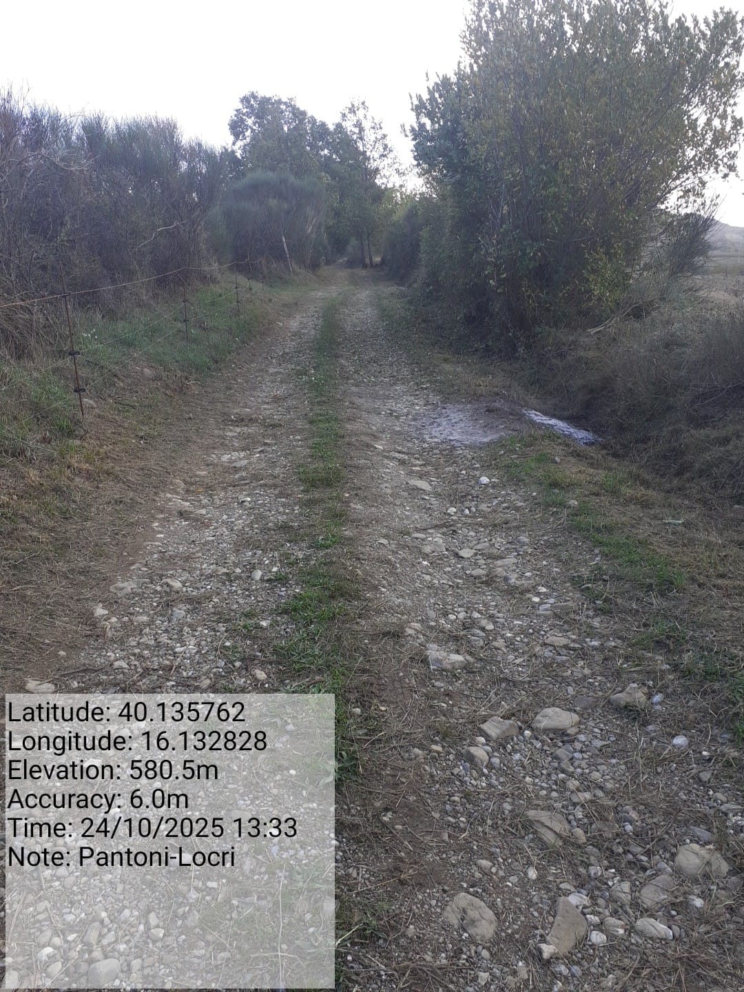 Galleria Fotografica Immagine