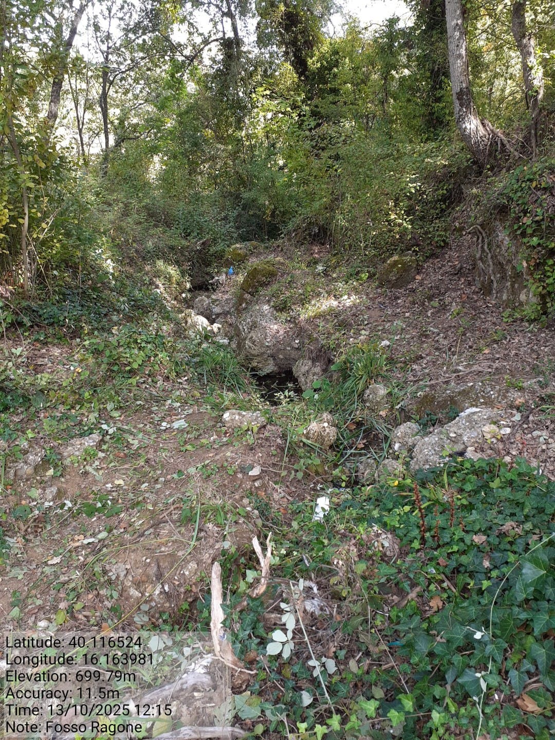 Galleria Fotografica Immagine