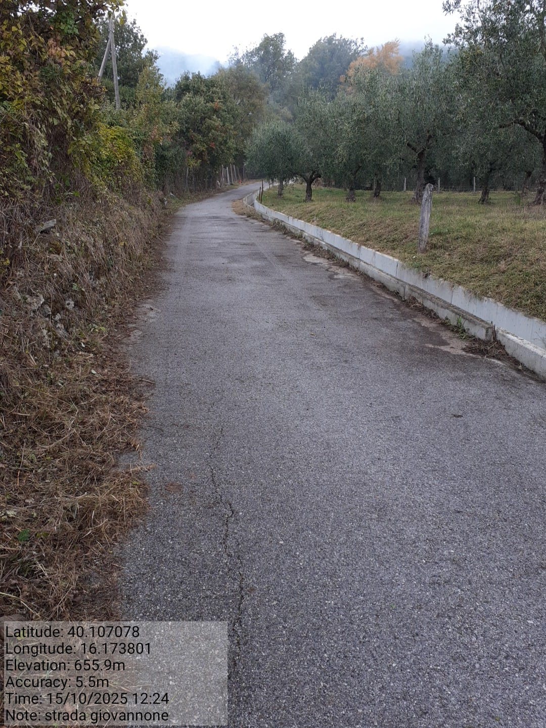 Galleria Fotografica Immagine