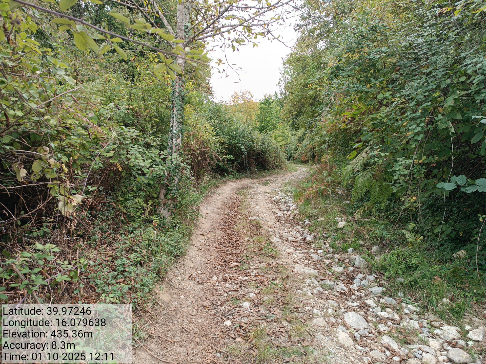 Galleria Fotografica Immagine