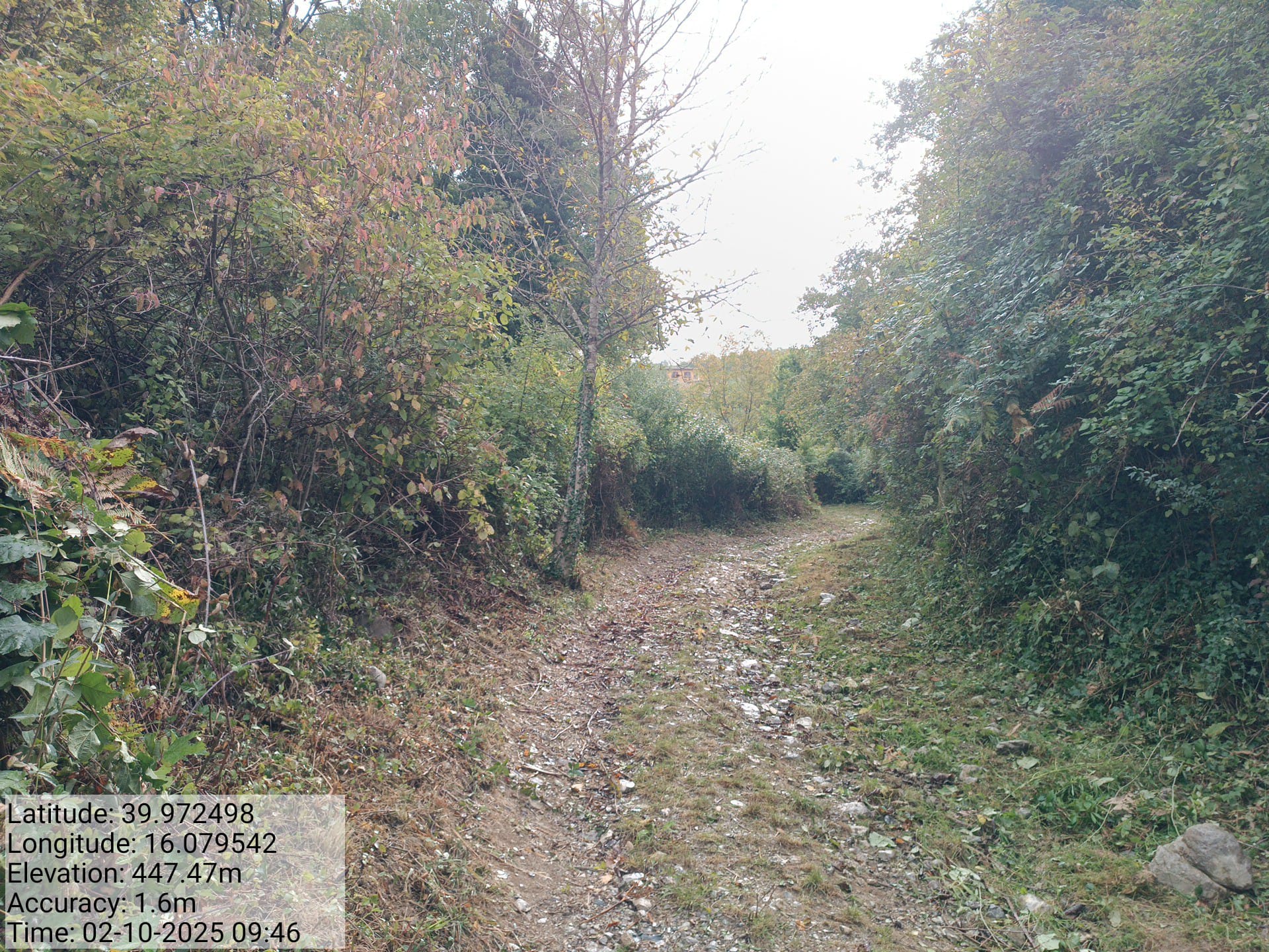 Galleria Fotografica Immagine