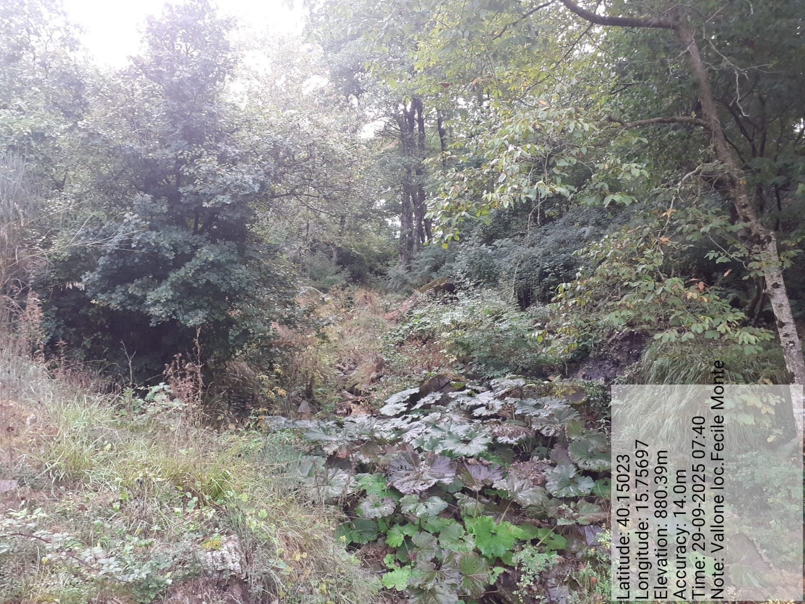 Galleria Fotografica Immagine