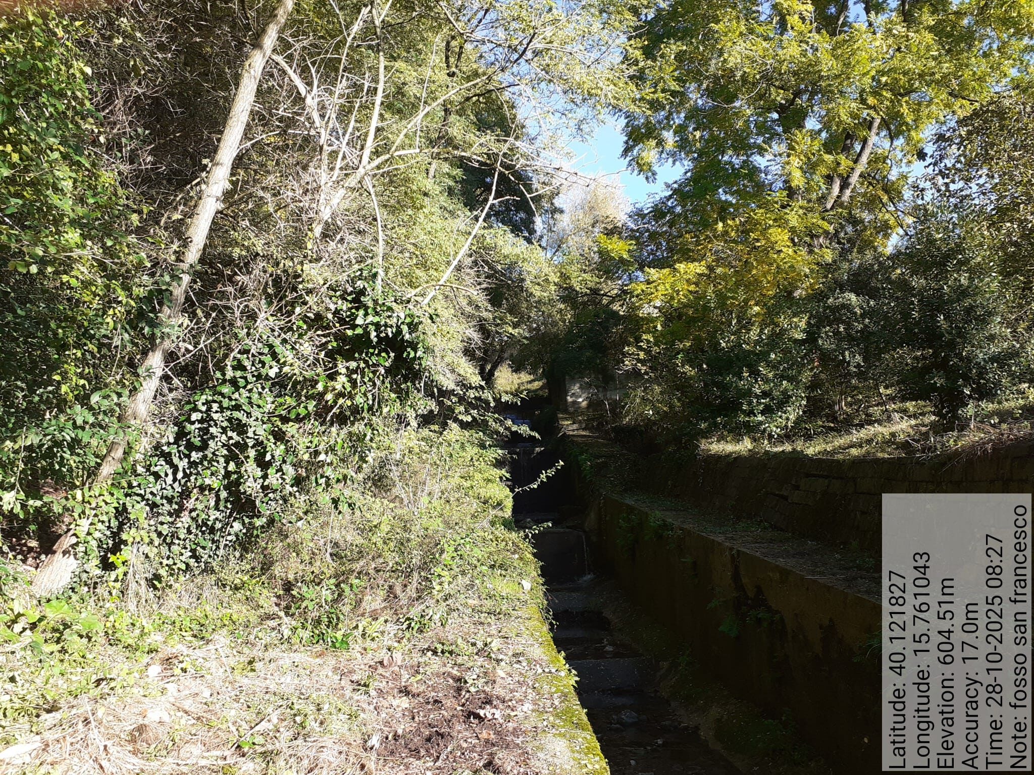 Galleria Fotografica Immagine