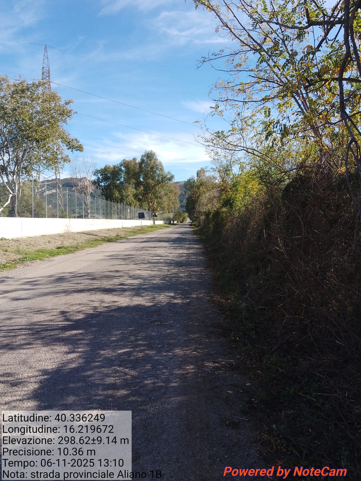 Galleria Fotografica Immagine