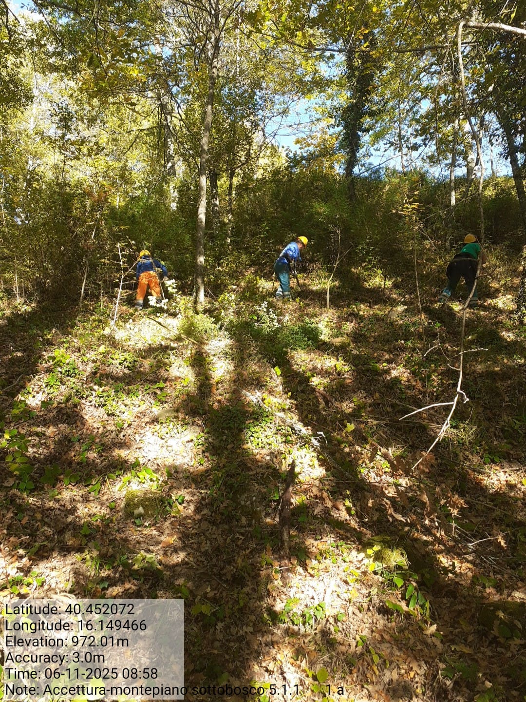 Galleria Fotografica Immagine