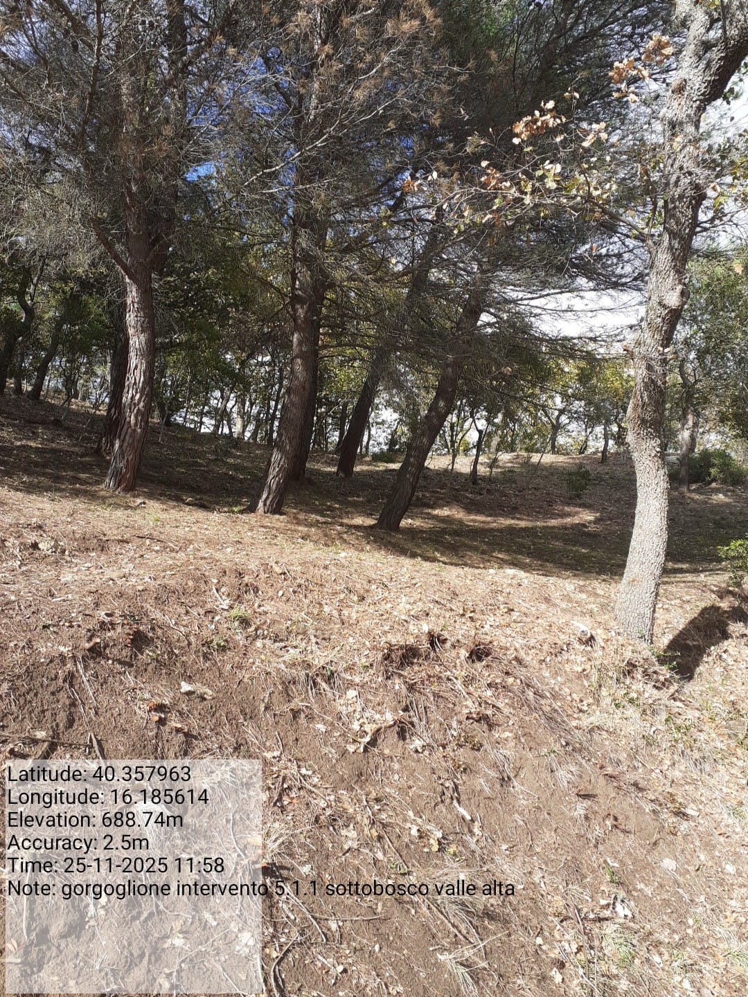 Galleria Fotografica Immagine