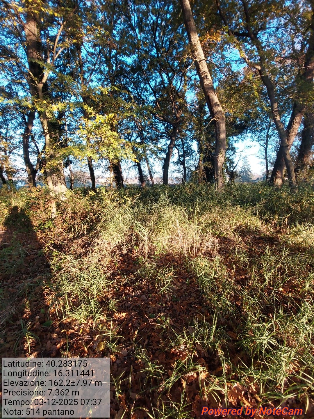 Galleria Fotografica Immagine