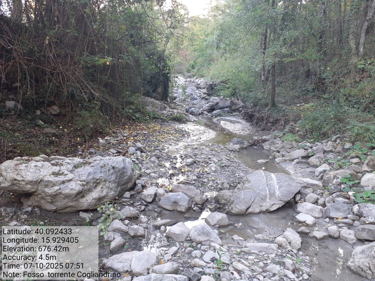 Galleria Fotografica Immagine