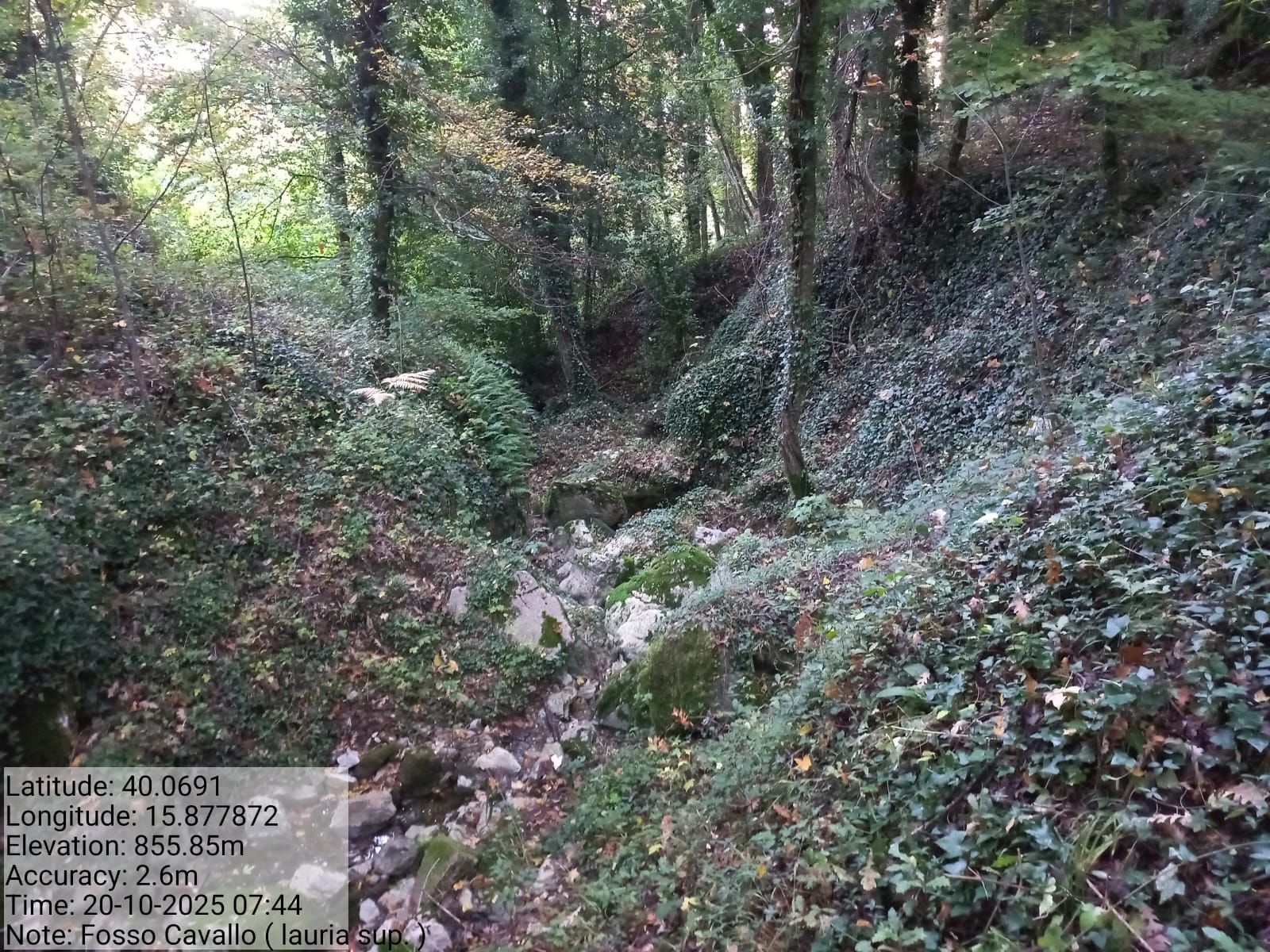 Galleria Fotografica Immagine