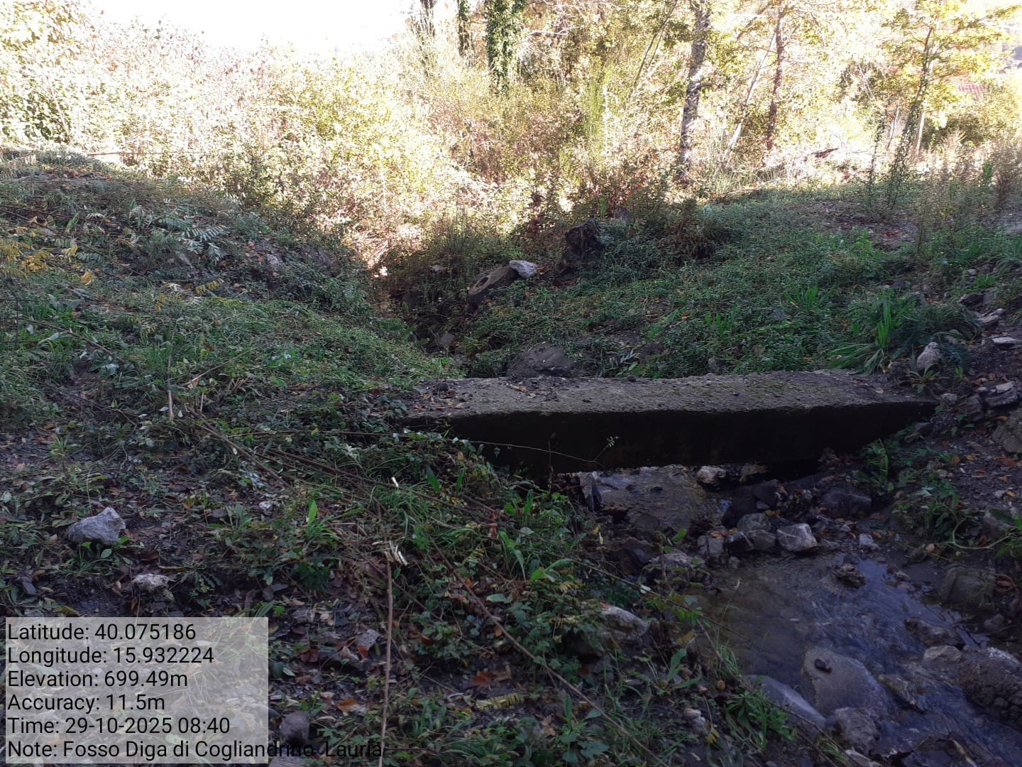 Galleria Fotografica Immagine