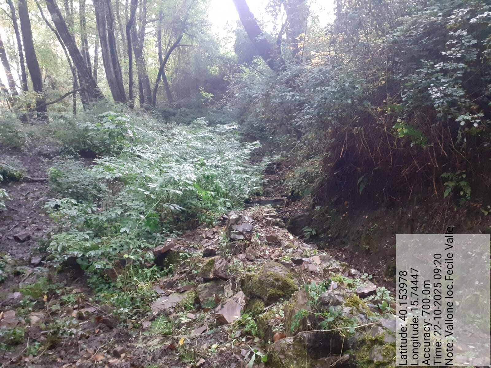 Galleria Fotografica Immagine