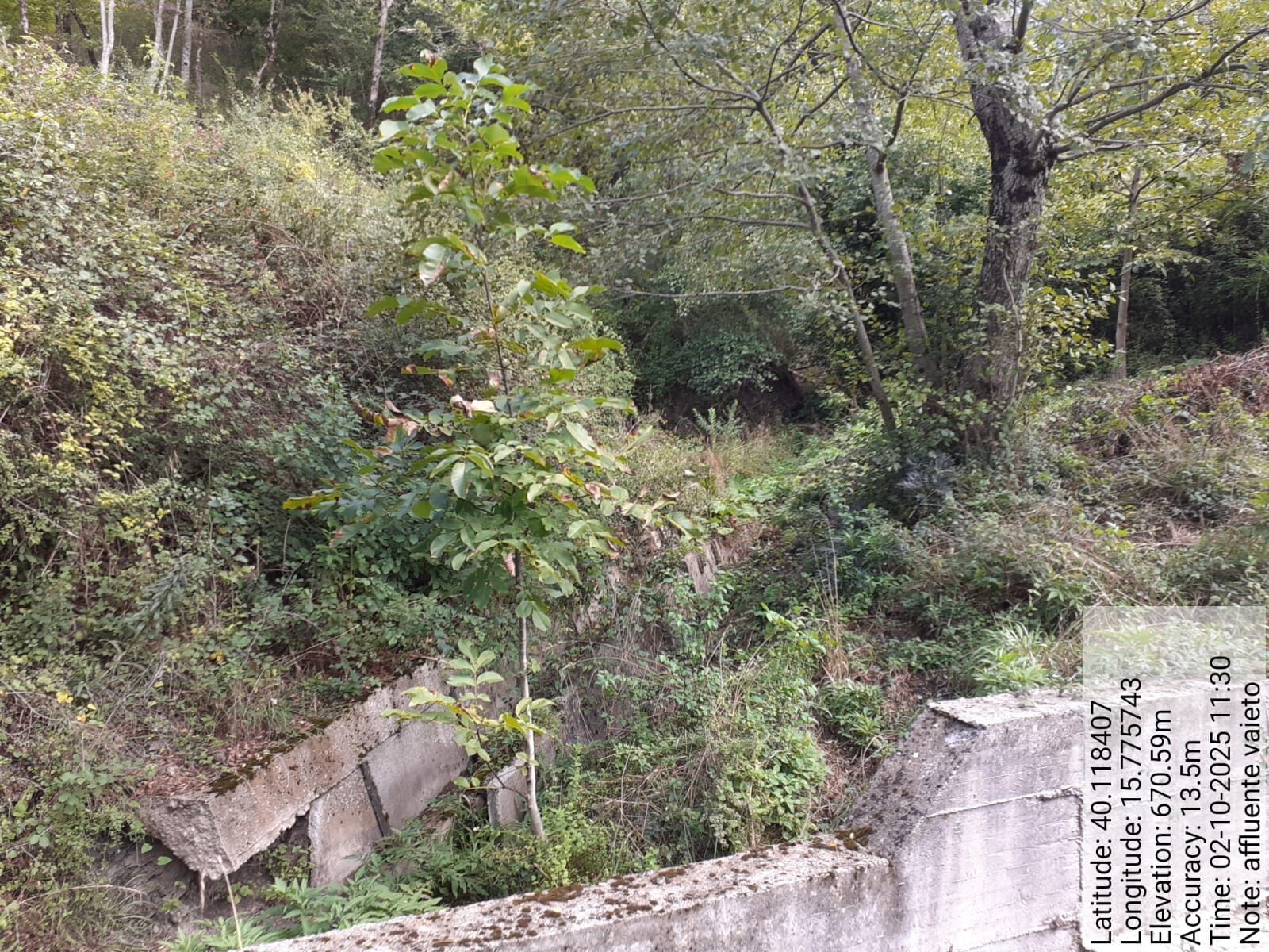 Galleria Fotografica Immagine