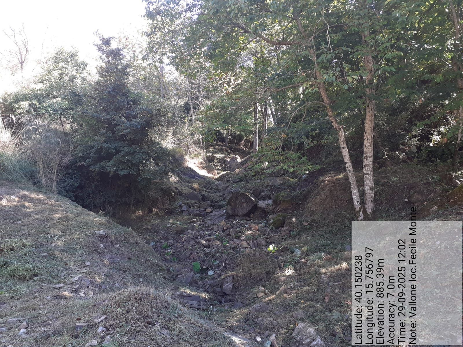 Galleria Fotografica Immagine