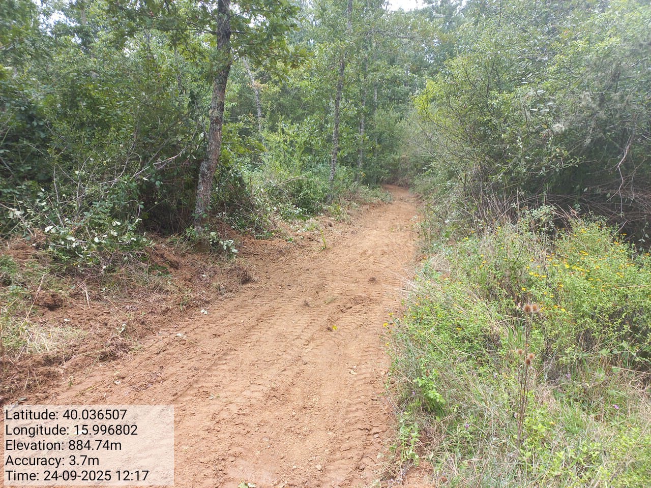 Galleria Fotografica Immagine