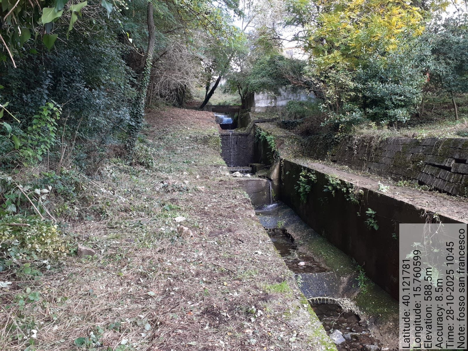 Galleria Fotografica Immagine