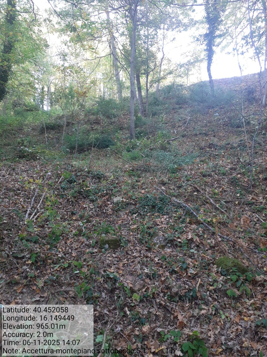 Galleria Fotografica Immagine