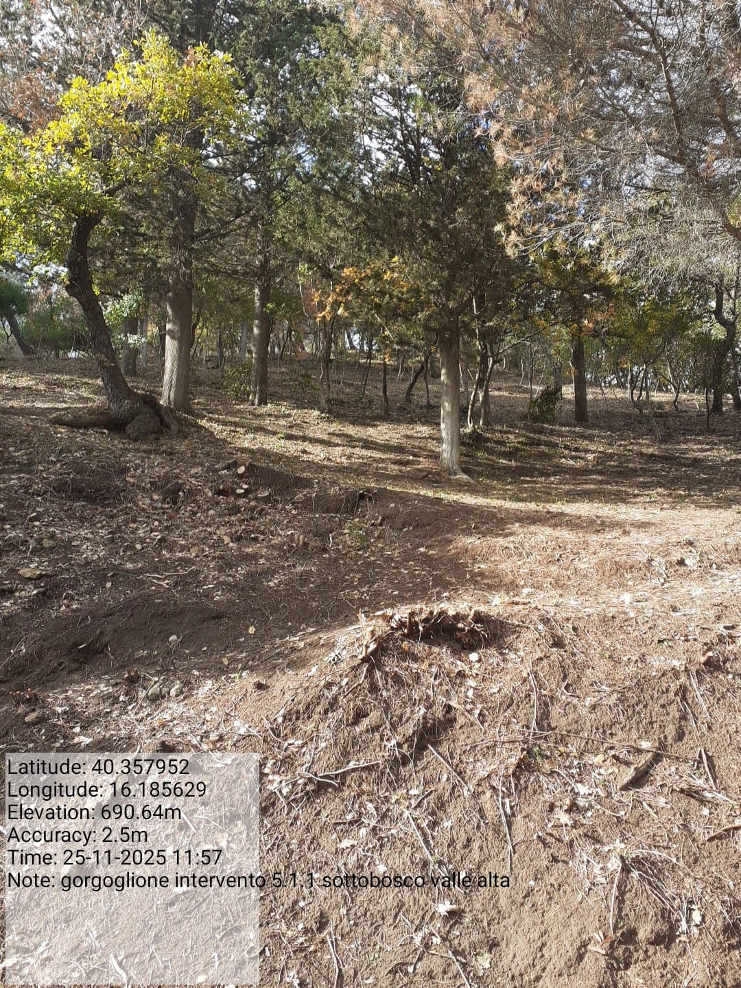 Galleria Fotografica Immagine