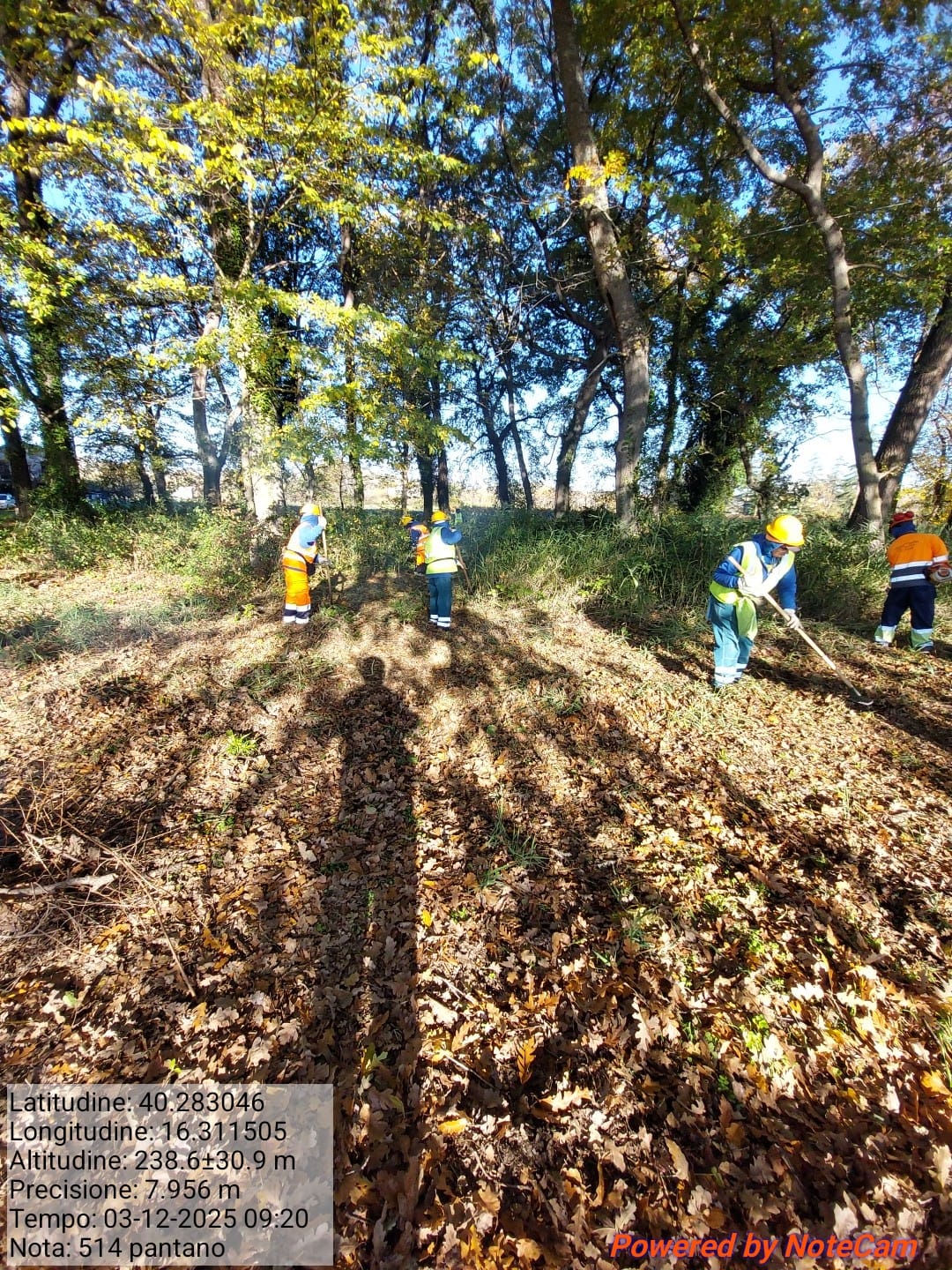 Galleria Fotografica Immagine