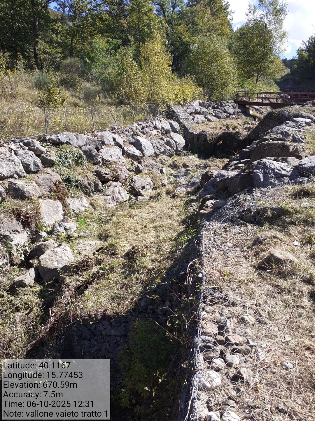 Galleria Fotografica Immagine