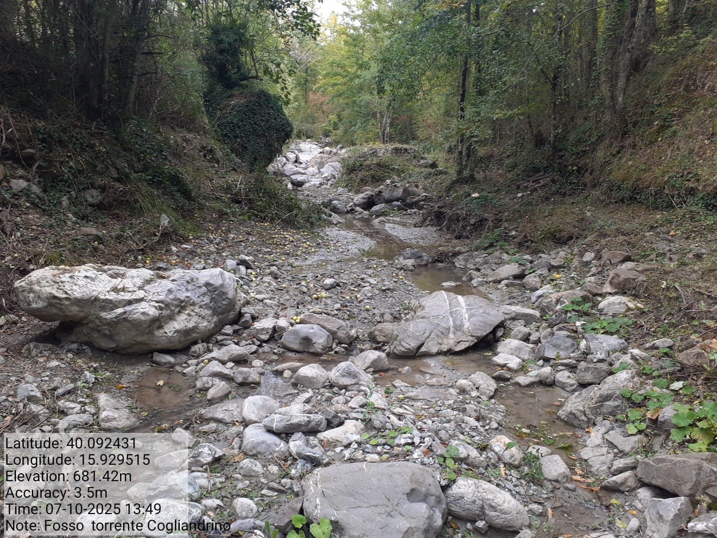 Galleria Fotografica Immagine