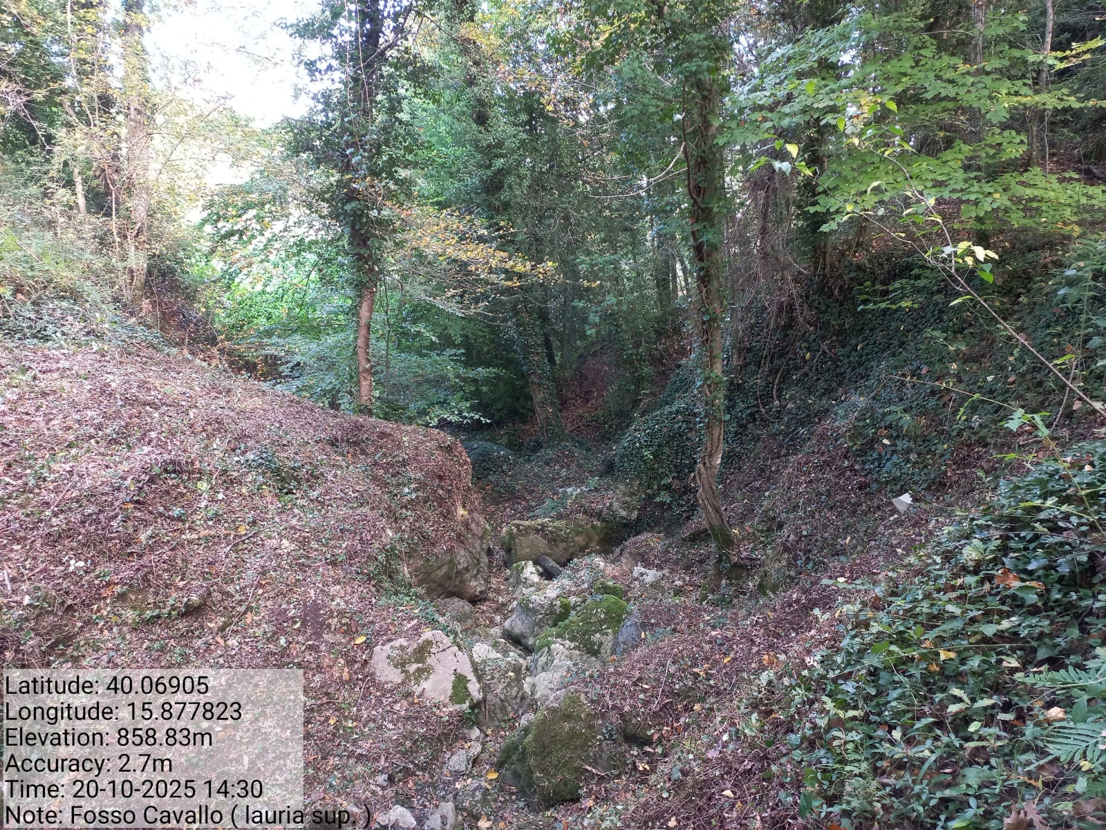 Galleria Fotografica Immagine