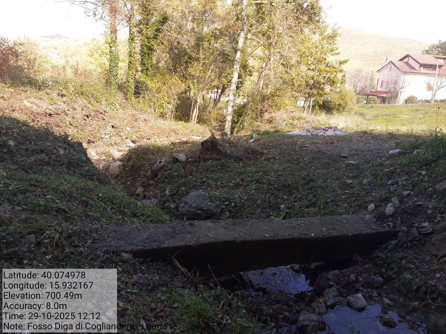 Galleria Fotografica Immagine