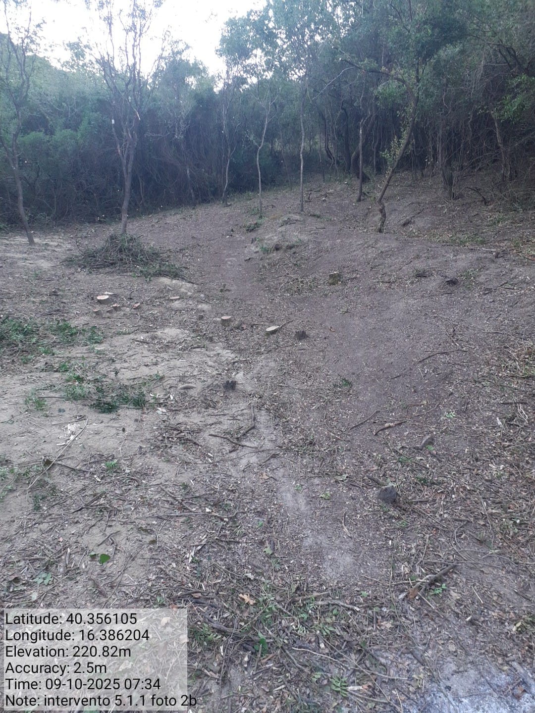 Galleria Fotografica Immagine