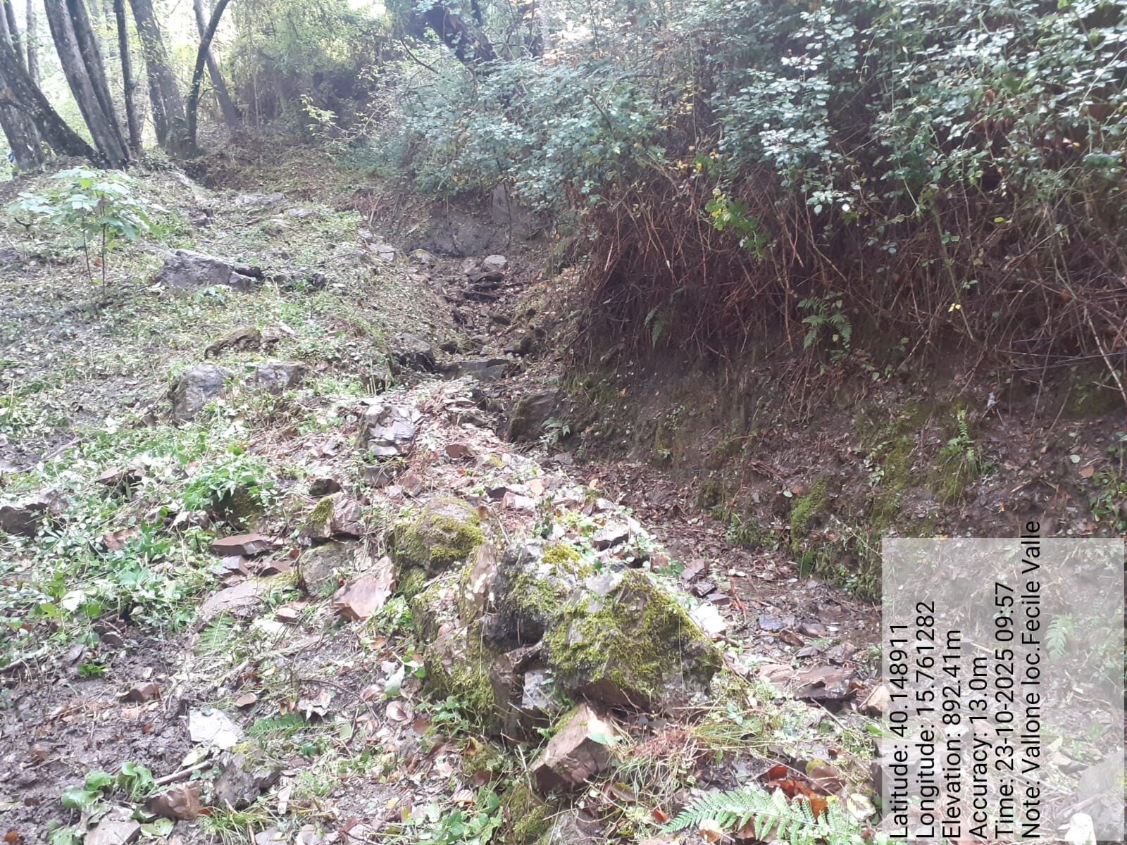 Galleria Fotografica Immagine