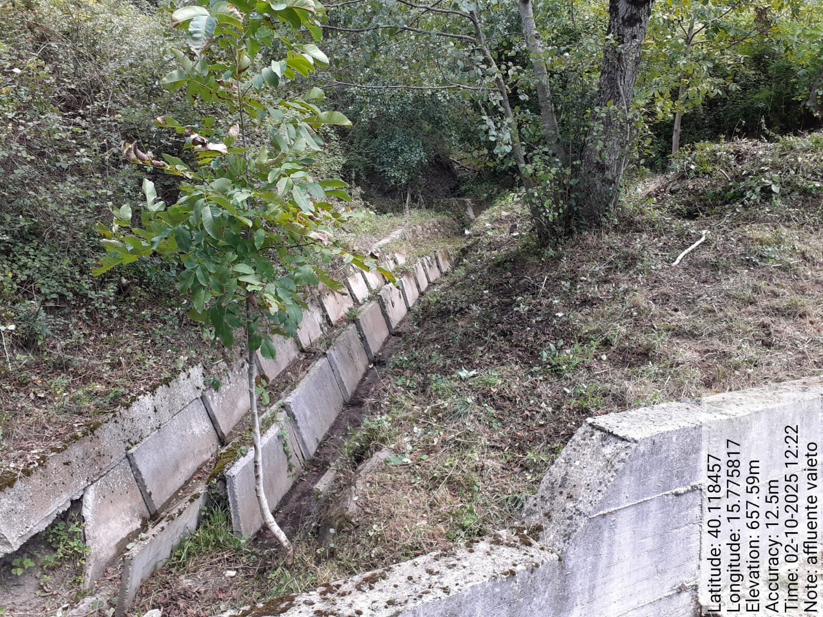 Galleria Fotografica Immagine